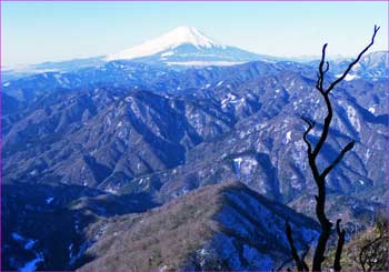 富士山展望