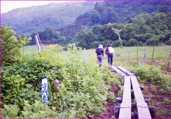 守門登山口