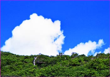 夏雲湧く