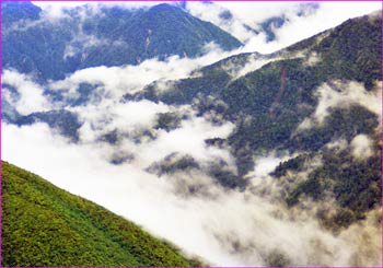 雨に煙る山