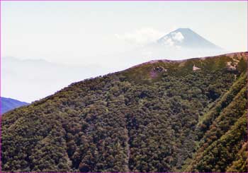 富士山