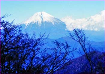 富士山展望