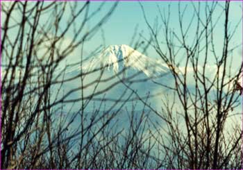 富士山見ゆ