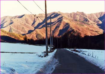 川端下林道