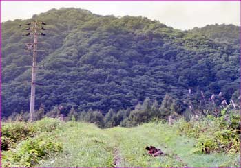 鹿島にて