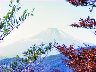 富士山