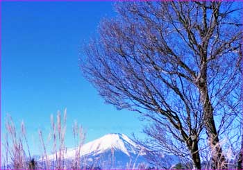 富士山