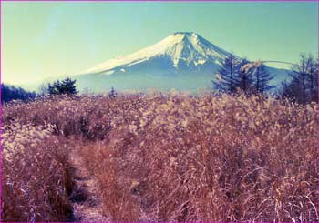 カヤトの原