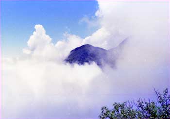 山巓雲に