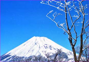 富士山