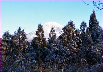 富士山見ゆ