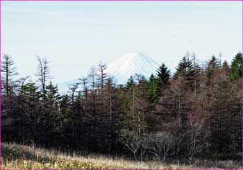 富士山見ゆ