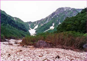 大樺沢から北岳