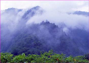 阿曽原温泉山中