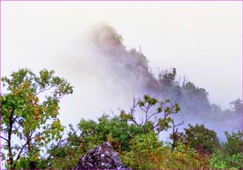 霧の山