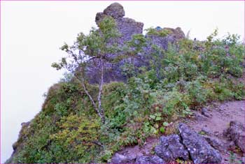 霧の山