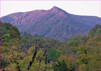 浅草岳へ