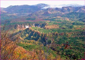  破間川上流