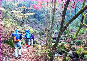 大岳山へ