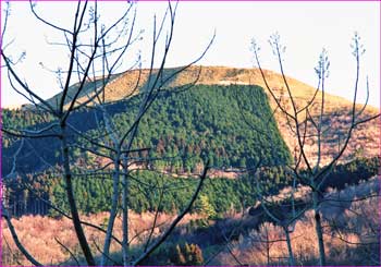 野背開戸から大野山