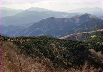 大野山展望