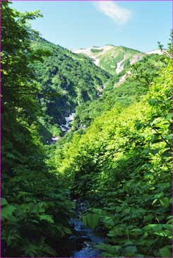 雪倉岳遙か