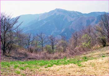 陣馬山から生籐山を