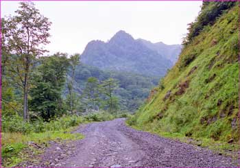 雨飾山口道