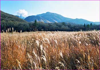 九重山へ