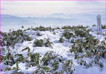 飯縄山山頂