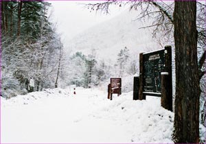 浅間山登山口