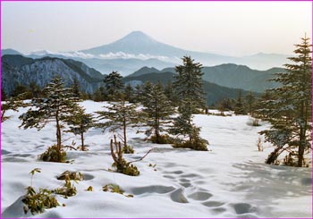 富士山望む