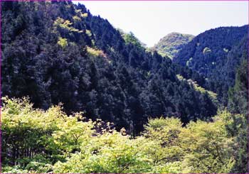 大岳山