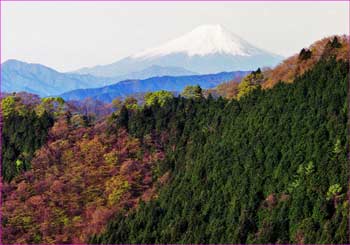 富士山