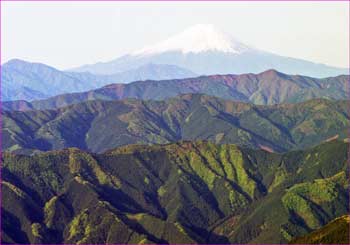 富士山