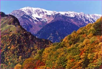 紅葉と間ノ岳