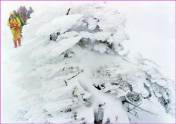 風雪の登行