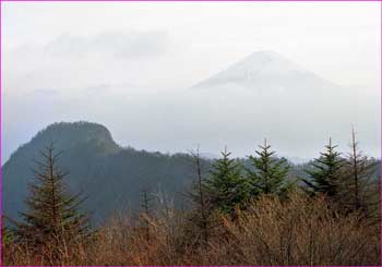 富士山