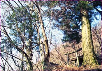 山神峠の祠