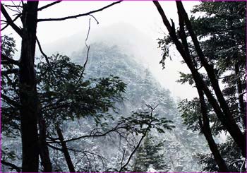 雪に煙る山中で