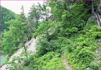 奥黒部登山道