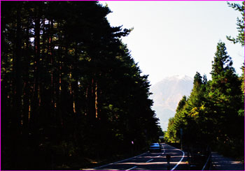 遙かな富士山