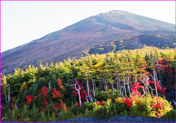 富士山秋色