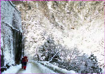 中房への雪道