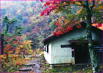 旧横窪沢小屋