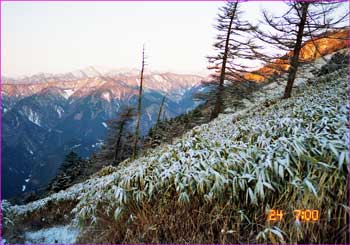 雪明けの峠道