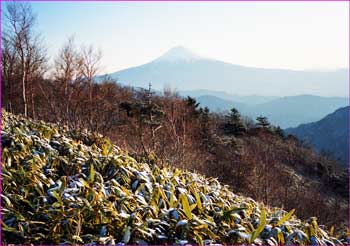 富士山展望