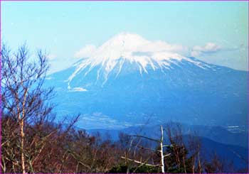 富士山望む