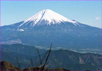 駿河富士展望