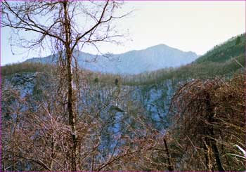 愛鷹山